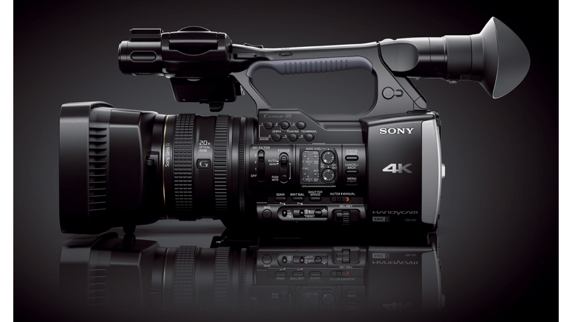 Sony - Handycam AX1 4K Videocámara con memoria flash - Negro