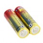 H13 Alkaline Batteries